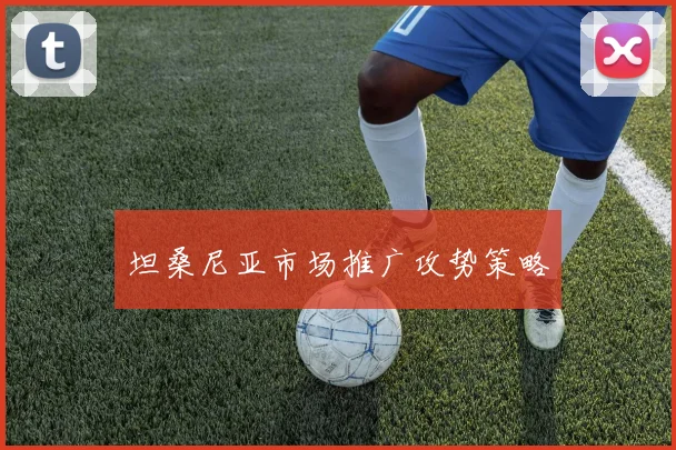 坦桑尼亚市场推广攻势策略