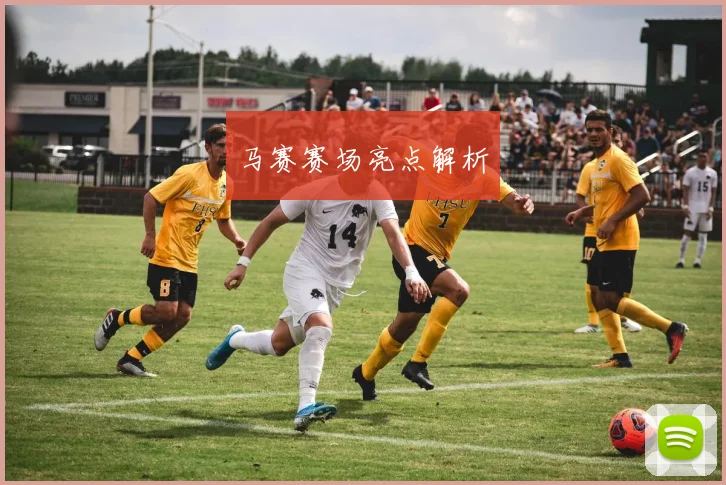 马赛赛场亮点解析