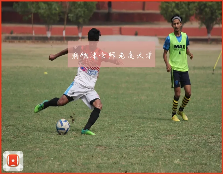 利物浦会师老虎大学