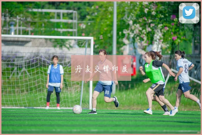 丹麦交锋印度