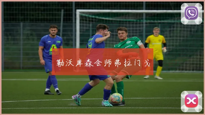 勒沃库森会师弗拉门戈