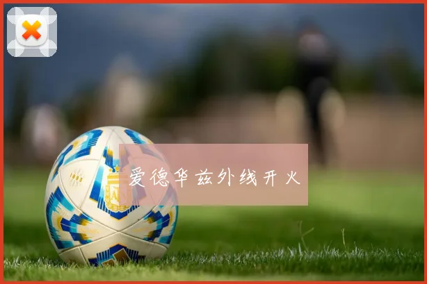 爱德华兹外线开火