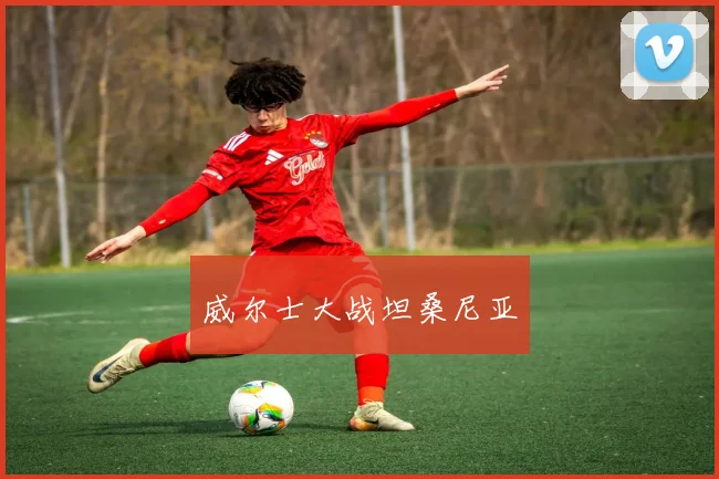 威尔士大战坦桑尼亚